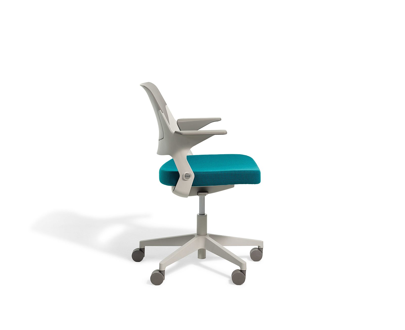 Ollo® with Shell Back | CWC